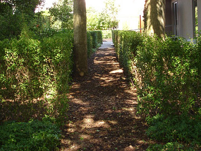 tuinarchitect bostuin oostende