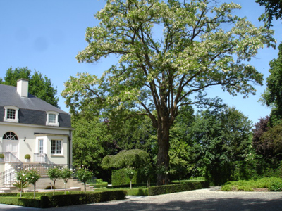 tuinarchitect Brugge bostuin ontwerp