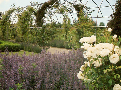 tuinarchitect landelijke tuin Gistel