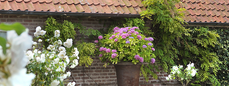 tuinarchitect landelijke tuin Oostende