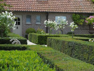 tuinarchitect landelijke tuin Oostende