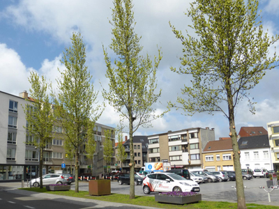 tuinarchitectuur openbaar project Stadscentrum Gistel