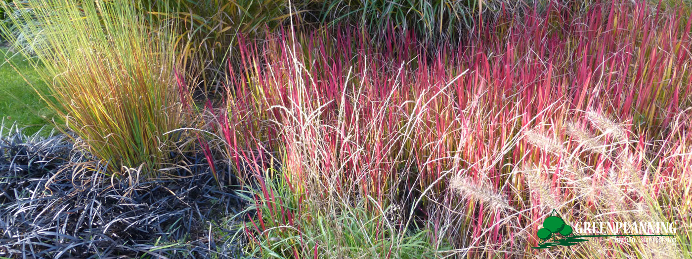 professioneel tuinarchitect Brugge