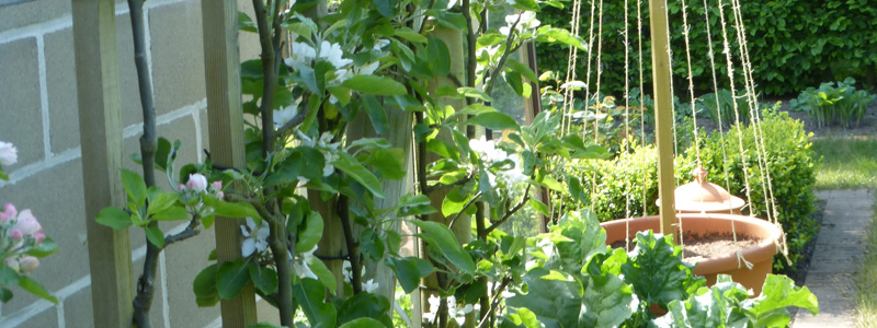 tuinaanleg stadstuin Roksem Oudenburg