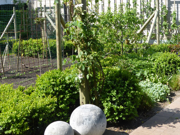 tuinaanleg stadstuin Roksem Oudenburg