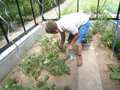 tuinaanleg villa tuin Brugge Provence
