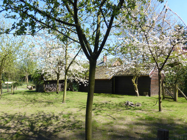 tuinaanleg villa tuin Brugge Provence