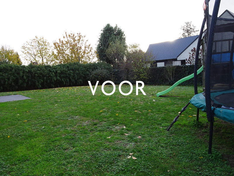 tuinarchitect residentiële tuin Jabbeke