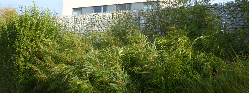 tuinarchitect villa tuin Oudenburg