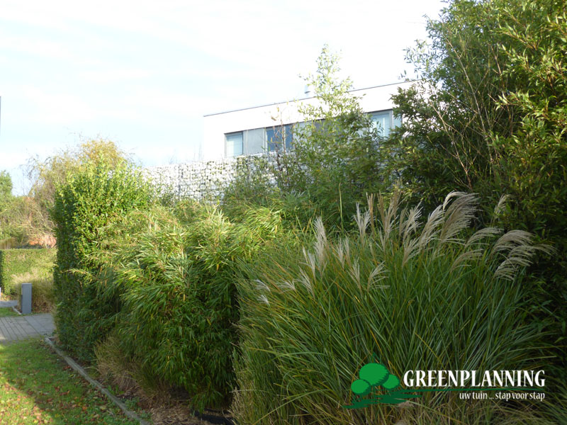 tuinarchitect villa tuin Oudenburg