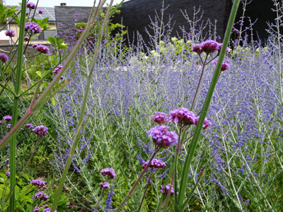 tuinarchitect villa tuin Gistel