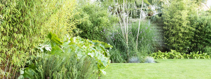 tuinarchitect villatuin Oudenburg