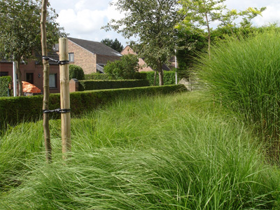 tuinarchitect villa tuin Gistel