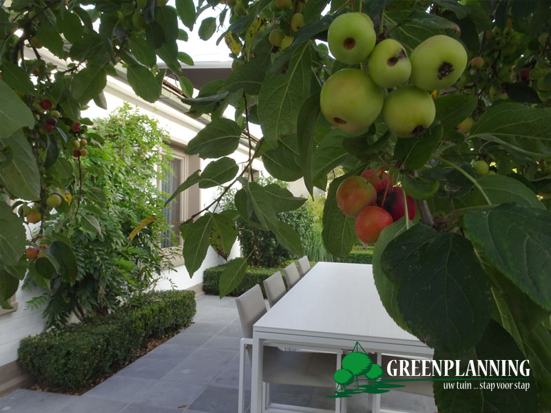 tuinarchitect villa tuin Gistel