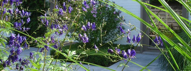 tuinarchitect villatuin Gistel